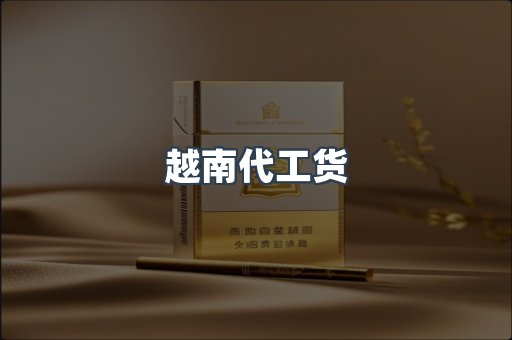 越南代工货